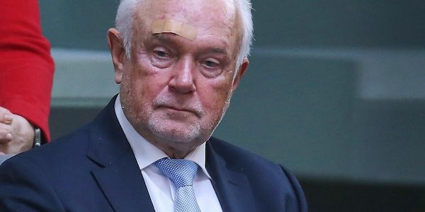 Umfrage: Nur jeder Vierte glaubt an FDP-Comeback unter Kubicki