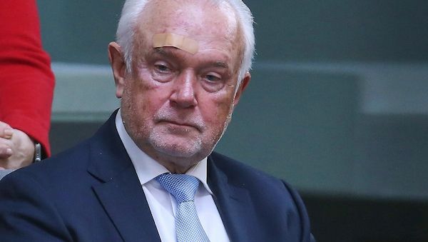 Umfrage: Nur jeder Vierte glaubt an FDP-Comeback unter Kubicki