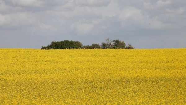 Wetterbericht für Niedersachsen/Bremen (28.05.2026)