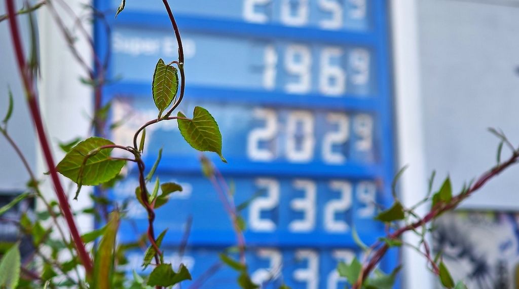 Ifo-Institut: Preisdruck lässt etwas nach - Inflation bleibt hoch