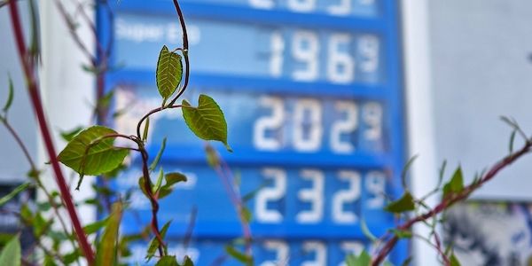 Ifo-Institut: Preisdruck lässt etwas nach - Inflation bleibt hoch