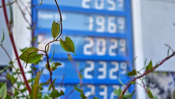 Ifo-Institut: Preisdruck lässt etwas nach - Inflation bleibt hoch