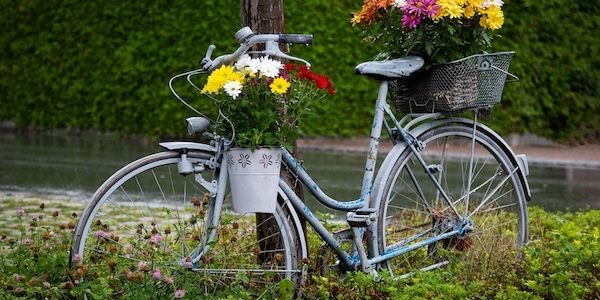 So sind Radler und Rad gut geschützt