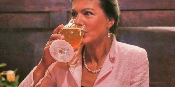 Wagenknecht will AfD mit wechselnden Mehrheiten miteinbeziehen