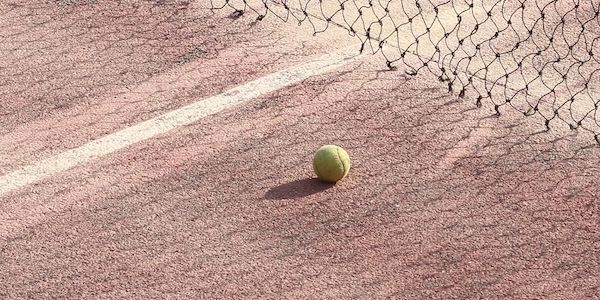 Alexander Zverev gewinnt French Open