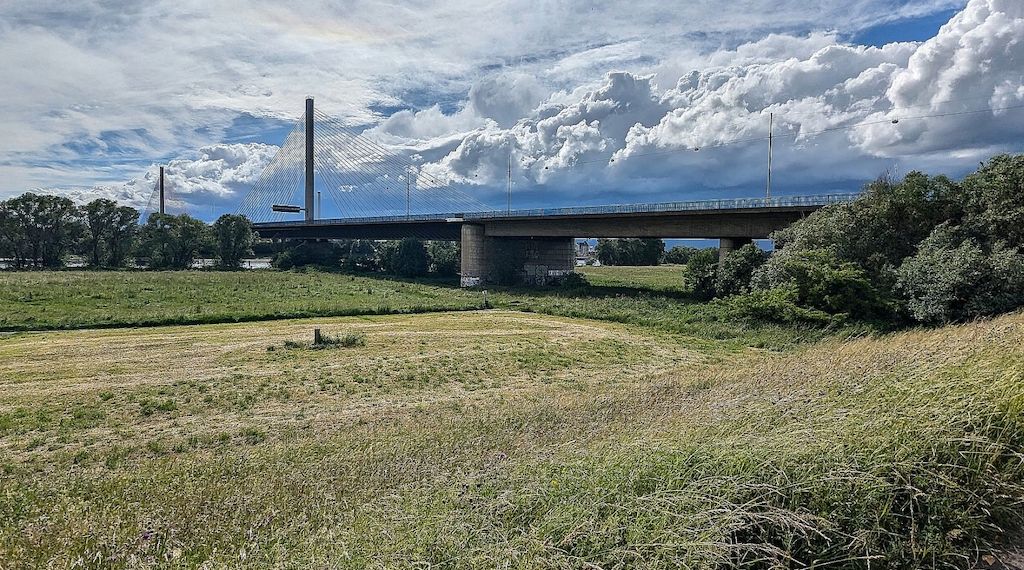 "Lenkungskreis" für gesperrte Bonner Rheinbrücke nimmt Arbeit auf
