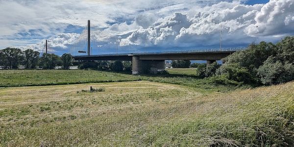 "Lenkungskreis" für gesperrte Bonner Rheinbrücke nimmt Arbeit auf