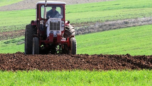 EU plant Millionenhilfe für Landwirte wegen Düngemittelkrise
