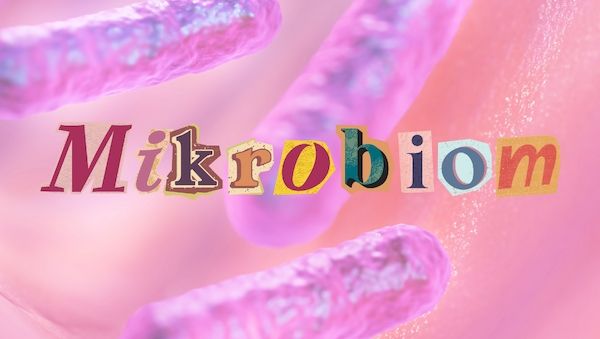 So schaden wir täglich unserem Immunsystem