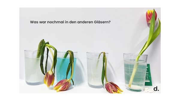 Ist Zahnpflege immer unbedenklich? Ein einfaches Experiment mit krasser Erkenntnis! 