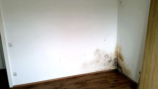Experte Ingo Büser warnt: Wie das Homeoffice zur Schimmelfalle werden kann