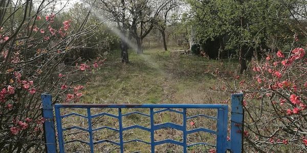 Gartenbesitzer in Deutschland fördern verstärkt Artenvielfalt