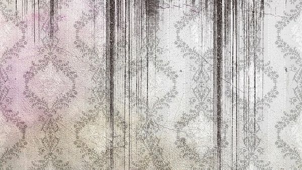 Schimmelalarm: Rechtliches bei Schimmel in der Wohnung