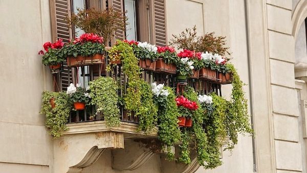 Experten mit Tipps zur Bewässerung von Balkon und Garten