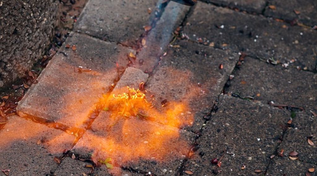 Experten über den richtigen Umgang mit Gasbrennern beim Unkrautjäten