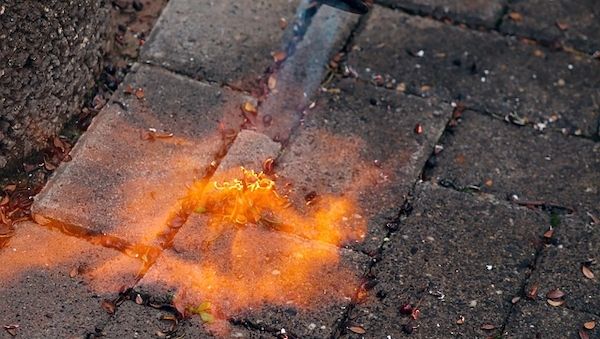 Experten über den richtigen Umgang mit Gasbrennern beim Unkrautjäten
