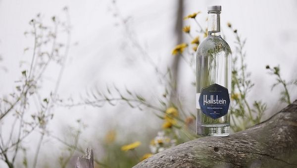 Weltwassertag 2024: Hallstein Wasser gegen PFAS und Mikroplastik