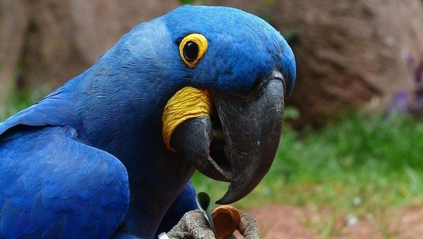 Experten: Warum man im Winter in den Zoo gehen sollte