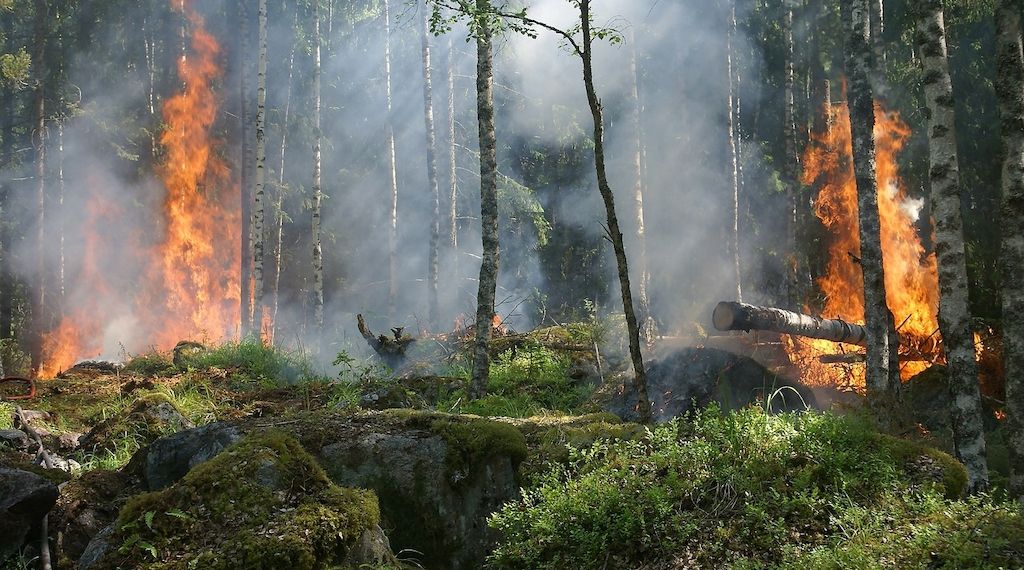 Was man über Brandschutz und Sicherheit wissen sollte