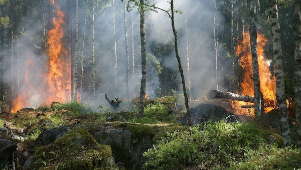 Was man über Brandschutz und Sicherheit wissen sollte
