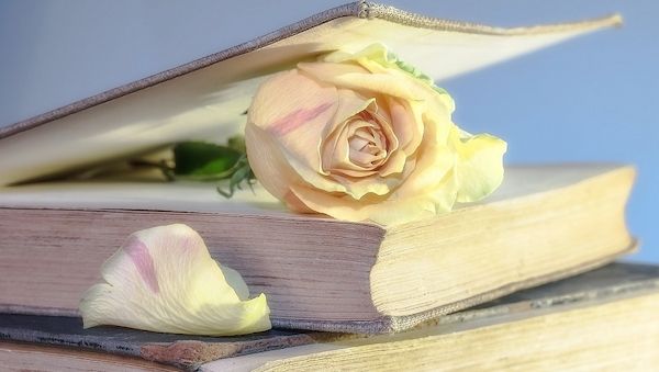 Experten über eine App, die eine Bücher-Liebe entfachen kann