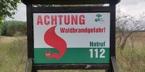 Hitzewelle in Baden-Württemberg: Ministerin warnt vor Waldbrandgefahr