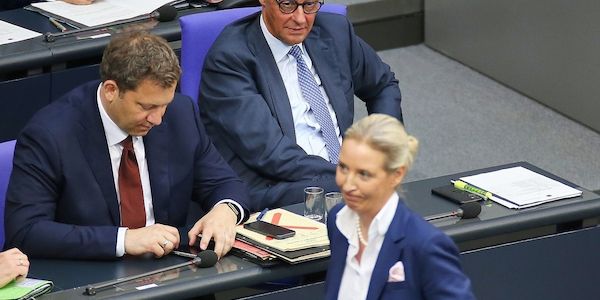 AfD bleibt in Umfrage mit 29 Prozent stärkste Kraft