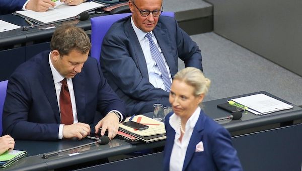 AfD bleibt in Umfrage mit 29 Prozent stärkste Kraft