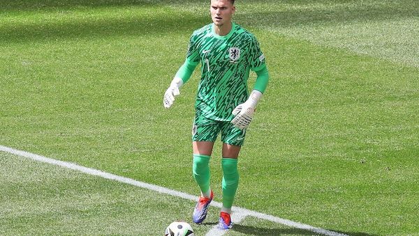 Fußball-WM: Niederlande besiegen Schweden deutlich