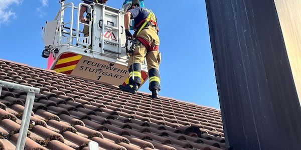 Feuerwehr Stuttgart rettet vier Turmfalken aus heißer Blechverkleidung