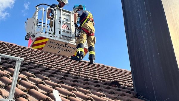 Feuerwehr Stuttgart rettet vier Turmfalken aus heißer Blechverkleidung