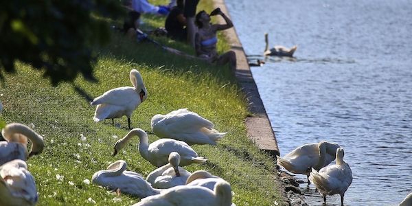 Hitze und Gewitterwarnung für Hamburg und Schleswig-Holstein