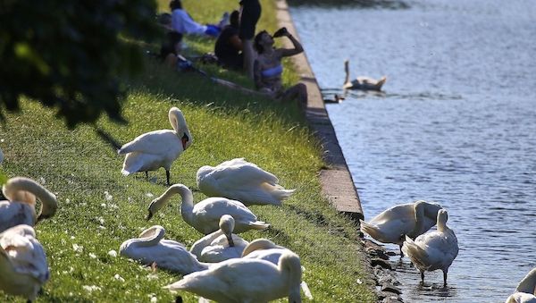 Hitze und Gewitterwarnung für Hamburg und Schleswig-Holstein
