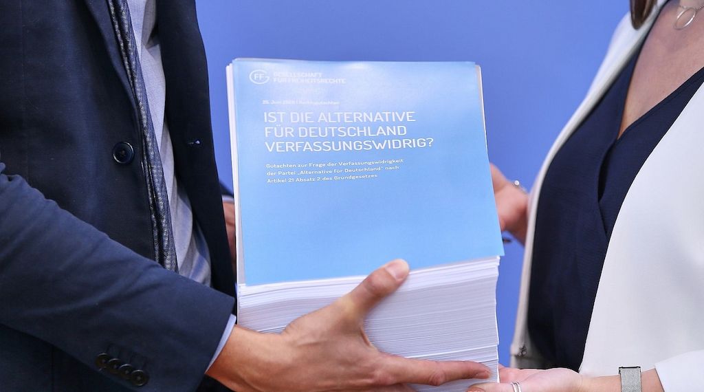 Bundesregierung erwägt trotz Gutachten keinen AfD-Verbotsantrag