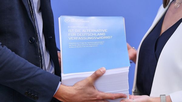 Bundesregierung erwägt trotz Gutachten keinen AfD-Verbotsantrag