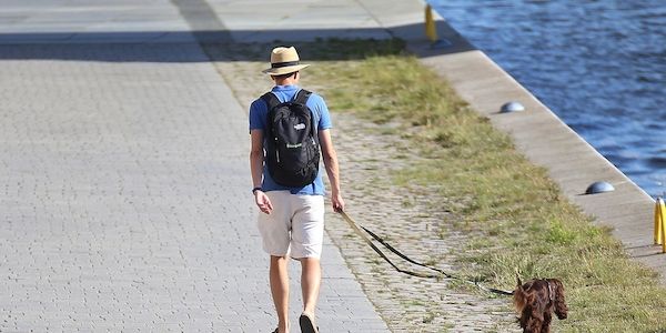 Berlin und Brandenburg von extremer Juni-Hitze betroffen