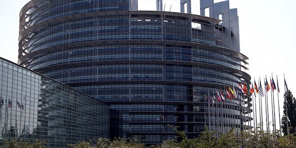 EU-Abgeordnete fordern Prüfung von AfD-Dachpartei ESN