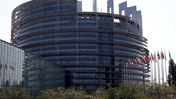 EU-Abgeordnete fordern Prüfung von AfD-Dachpartei ESN