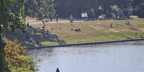 Ploß fordert Freibad-Offensive mit Infrastruktur-Milliarden