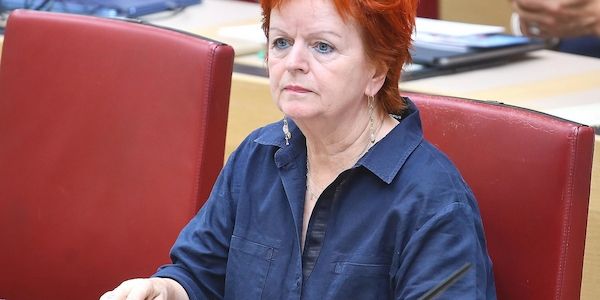 Grüne fordern realistische CO2-Bilanz für Plug-in-Hybride