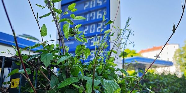 Tankstellenverband wirft Ölkonzernen "Abzocke" vor