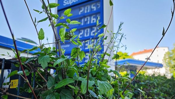 Tankstellenverband wirft Ölkonzernen "Abzocke" vor