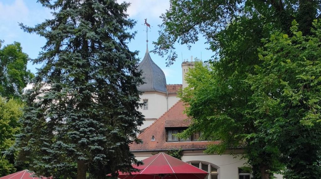 Sommerempfang 2026: Waldkulisse, Sommerabend, Austausch – ein voller Erfolg
