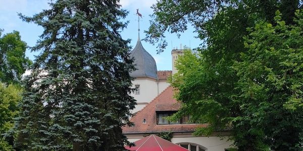 Sommerempfang 2026: Waldkulisse, Sommerabend, Austausch – ein voller Erfolg
