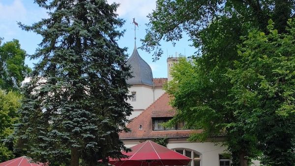 Sommerempfang 2026: Waldkulisse, Sommerabend, Austausch – ein voller Erfolg