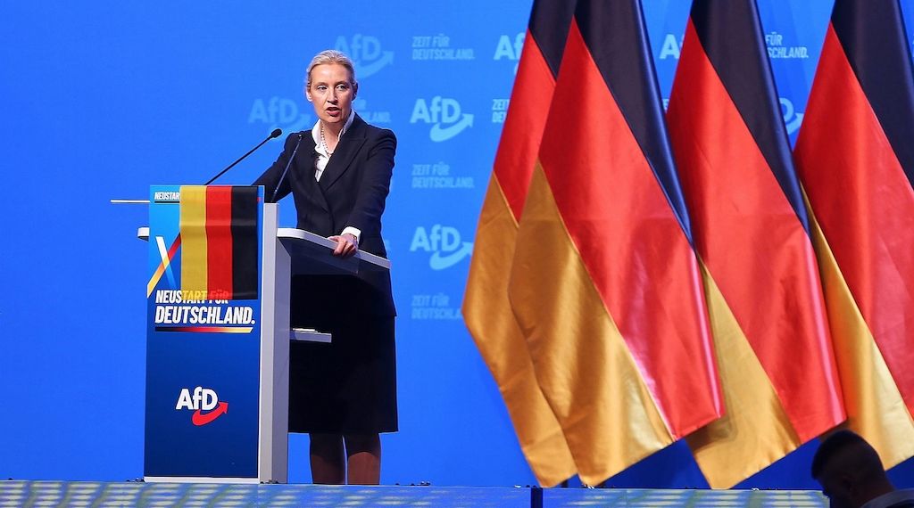 Politologe: Weidels Macht in der AfD ist begrenzt