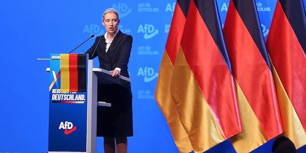 Politologe: Weidels Macht in der AfD ist begrenzt