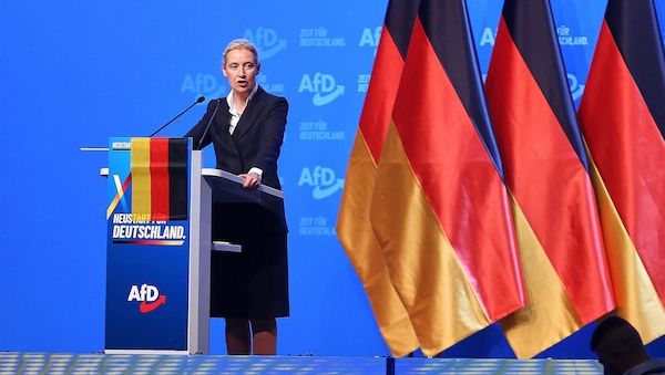 Politologe: Weidels Macht in der AfD ist begrenzt