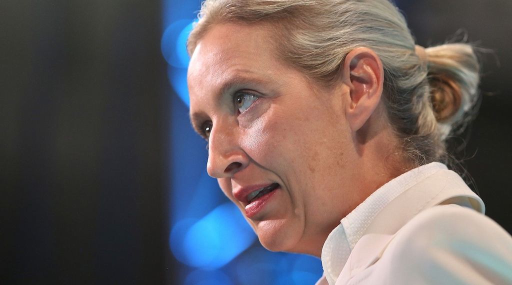 Weidel kritisiert Familienbild in Sachsen-Anhalter AfD-Wahlprogramm