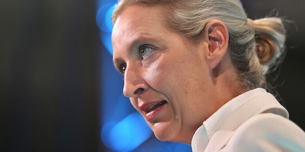 Weidel kritisiert Familienbild in Sachsen-Anhalter AfD-Wahlprogramm